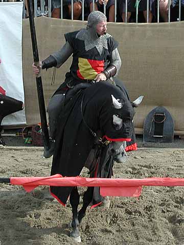 ritter_17