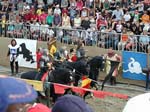 ritter_09